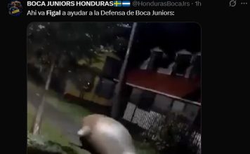 Los mejores memes del sufrido triunfo de Boca por penales frente a O’Higgins: Figal y Aranda, los elegidos