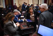 Súper RIGI: el oficialismo buscará dictaminar la próxima semana en el Senado