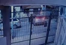 Un hombre de 73 años fue asesinado en un ataque de viudas negras en Vicente López: hay dos detenidos