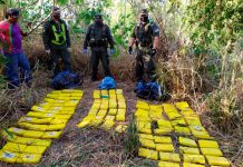 Un informe reveló que la droga incautada en Argentina aumentó un 500% y que el tráfico tiene a Europa como destino final