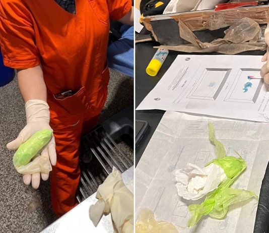 Un llamado anónimo frustró una maniobra para ingresar cocaína a Chaco: hay una embarazada detenida