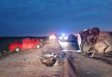 Un micro con 16 niñas que volvían de un partido de fútbol chocó contra un auto en Córdoba y dejó dos muertos