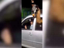 Video: un agente penitenciario de Mendoza salió a festejar con una llama en el auto y fue denunciado por maltrato