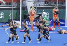 «Argentina fue demasiado fuerte» y «el Mundial terminó en decepción»: la prensa de Países Bajos se rindió ante el título de Las Leonas