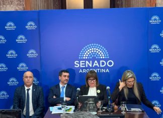 Bullrich dijo que acordó con aliados un límite de 25% para la venta de tierras, pero aún hay dudas con los votos
