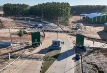 Corrientes busca dejar de vender materia prima y apuesta a convertirse en un polo industrial y exportador