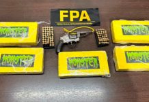 Desarticularon una banda narco y secuestraron cocaína “Monster”: el valor de lo incautado asciende a casi 600 millones de pesos