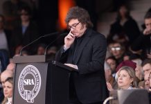 Descoordinaciones, gobernadores rebeldes y el “factor Tini”: por qué Milei sufrió un calvario en el Congreso