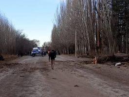 Dos personas murieron en Mendoza al caer un árbol sobre una camioneta por el fuerte viento