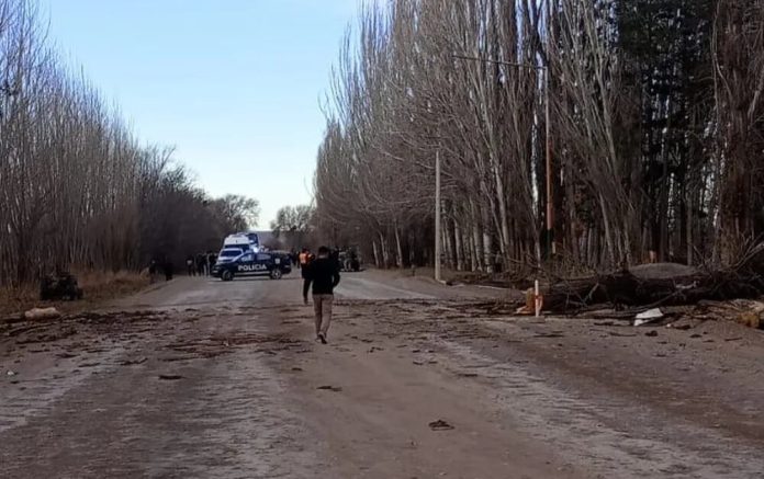 Dos personas murieron en Mendoza al caer un árbol sobre una camioneta por el fuerte viento