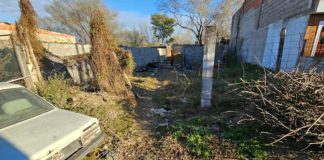 El desgarrador relato de la mamá del nene que murió tras ser atacado por un pitbull: “Lo que yo vi es tremendo”