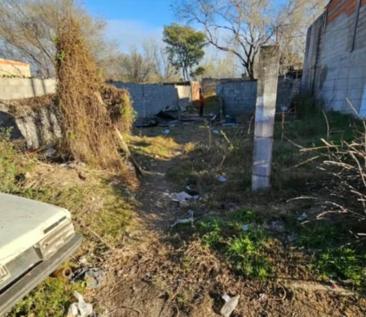 El desgarrador relato de la mamá del nene que murió tras ser atacado por un pitbull: “Lo que yo vi es tremendo”