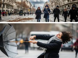 Frio en el AMBA y alertas en 14 provincias: el pronóstico del tiempo para fin de semana