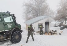 Fuertes operativos de rescate en dos provincias por las intensas nevadas en la Cordillera de los Andes