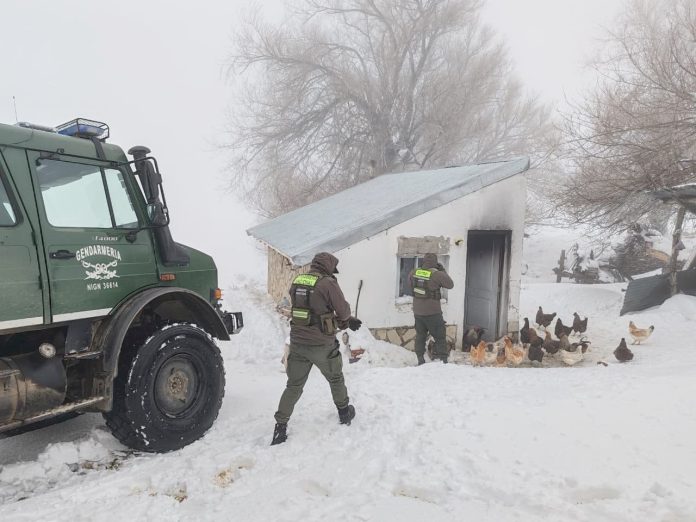 Fuertes operativos de rescate en dos provincias por las intensas nevadas en la Cordillera de los Andes