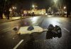 Gases, piedras y patrulleros destrozados: las imágenes y los videos de los incidentes en el Congreso