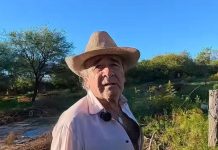 “Hay que aprovechar la tierra para producir alimentos sanos”: tiene 67 años y vive una vida plena en el corazón del monte cordobés