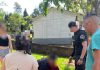Horror en Misiones: una mujer de 93 años ingresó al patio de una vecina y murió tras el ataque de un perro