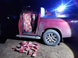 Incautaron más de 780 kilos de hojas de coca y 24 mil atados de cigarrillos de contrabando en Salta