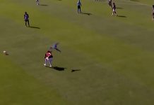 Insólito episodio en el fútbol de Brasil: un ave intentó atacar a un futbolista en pleno partido