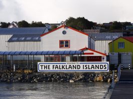 Islas Malvinas: un funcionario de Milei rechazó los festejos británicos por el “Falklands Day”