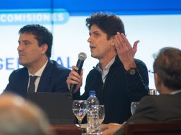 La alianza entre el PRO y La Libertad Avanza vuelve a tensionar a la UCR bonaerense: el nuevo dilema para 2027