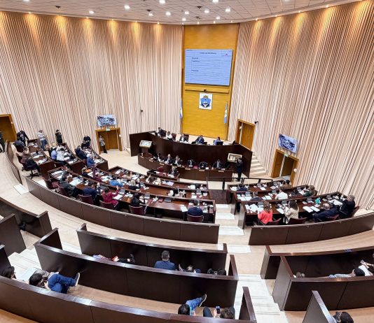 La Legislatura de Neuquén comenzará a realizar narcotest periódicos a sus miembros