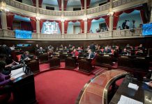 La Libertad Avanza quiere cerrar el Senado provincial si gana las elecciones en Buenos Aires