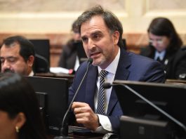 La oposición cuestionó a Benegas Lynch por su empresa para vender campos a extranjeros y el senador libertario se defendió