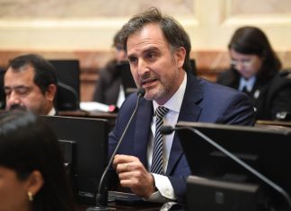 La oposición cuestionó a Benegas Lynch por su empresa para vender campos a extranjeros y el senador libertario se defendió
