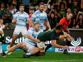 Los Springboks ya están en Buenos Aires y se preparan para enfrentar a Los Pumas