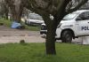 Mataron a un hombre de 68 años en Mar del Plata: tenía un disparo en la pierna y golpes