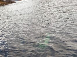 Misterio en Chubut: la Justicia investiga la aparición de una camioneta hundida en un lago