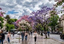 Se espera un domingo primaveral en el AMBA, mientras diez provincias estarán bajo alerta por tormentas, vientos y nevadas