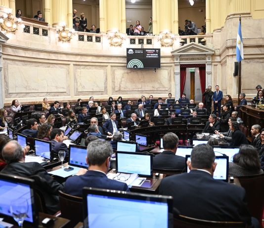Se reactiva el Senado: audiencias por jueces, inicio del Súper RIGI y día “D” para una ley mileísta
