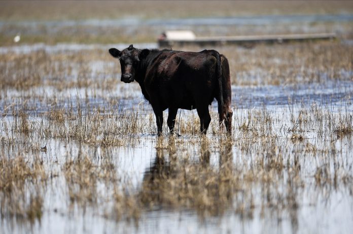 Sequías, inundaciones y desigualdad territorial: los desafíos que enfrenta la gestión del agua en la Argentina