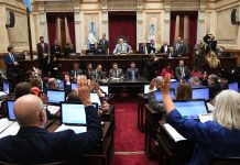 Sin la venta de tierra a extranjeros, el Senado sesiona para avanzar con el resto de la ley de propiedad privada