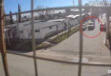 Tiros, fuga marcha atrás y policías arrollados: imágenes de una persecución de película en Neuquén