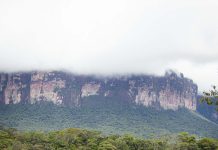 Una pareja de argentinos visitó la cascada más alta del mundo: “Fueron cinco horas de navegación y una de caminata por la selva”