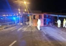 Volcó un camión con ganado en Rosario: varias vacas escaparon y cinco hombres fueron detenidos por intentar robarlas