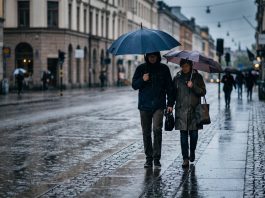 Alerta meteorológica para 17 provincias: prevén tormentas, vientos, nevadas y fuertes lluvias
