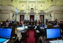Con cambios de último minuto, el Senado aprobó un nuevo régimen de biocombustibles