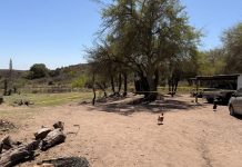 Conmoción en Córdoba: un adolescente de 16 años fue asesinado y detuvieron a su padrastro y a su hijo de 17 años