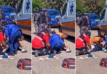 Córdoba: un pitbull atacó a una jubilada, la dejó en grave estado y los vecinos apuñalaron al animal para frenarlo