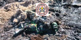 Dos bomberos se intoxicaron por un químico prohibido mientras combatían un incendio en Neuquén