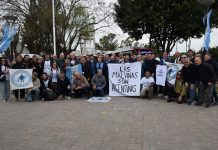 En medio de la tensión por Malvinas, un grupo de veteranos viajó por primera vez a las islas