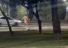 Impactante: un chico de 13 años quiso escapar tras cometer un supuesto robo y lo atropellaron en una autopista de Mendoza