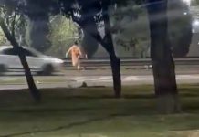 Impactante: un chico de 13 años quiso escapar tras cometer un supuesto robo y lo atropellaron en una autopista de Mendoza