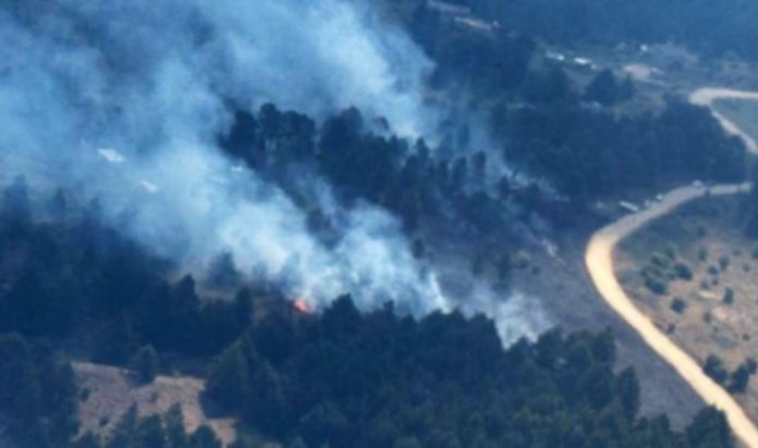 Incendios en Córdoba: dos focos se activaron en la provincia y los brigadistas buscan combatir las llamas