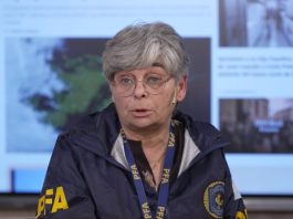 La historia de Hela, la perra que pasó 9 años detectando drogas para la Policía Federal y se jubila junto a su adiestradora